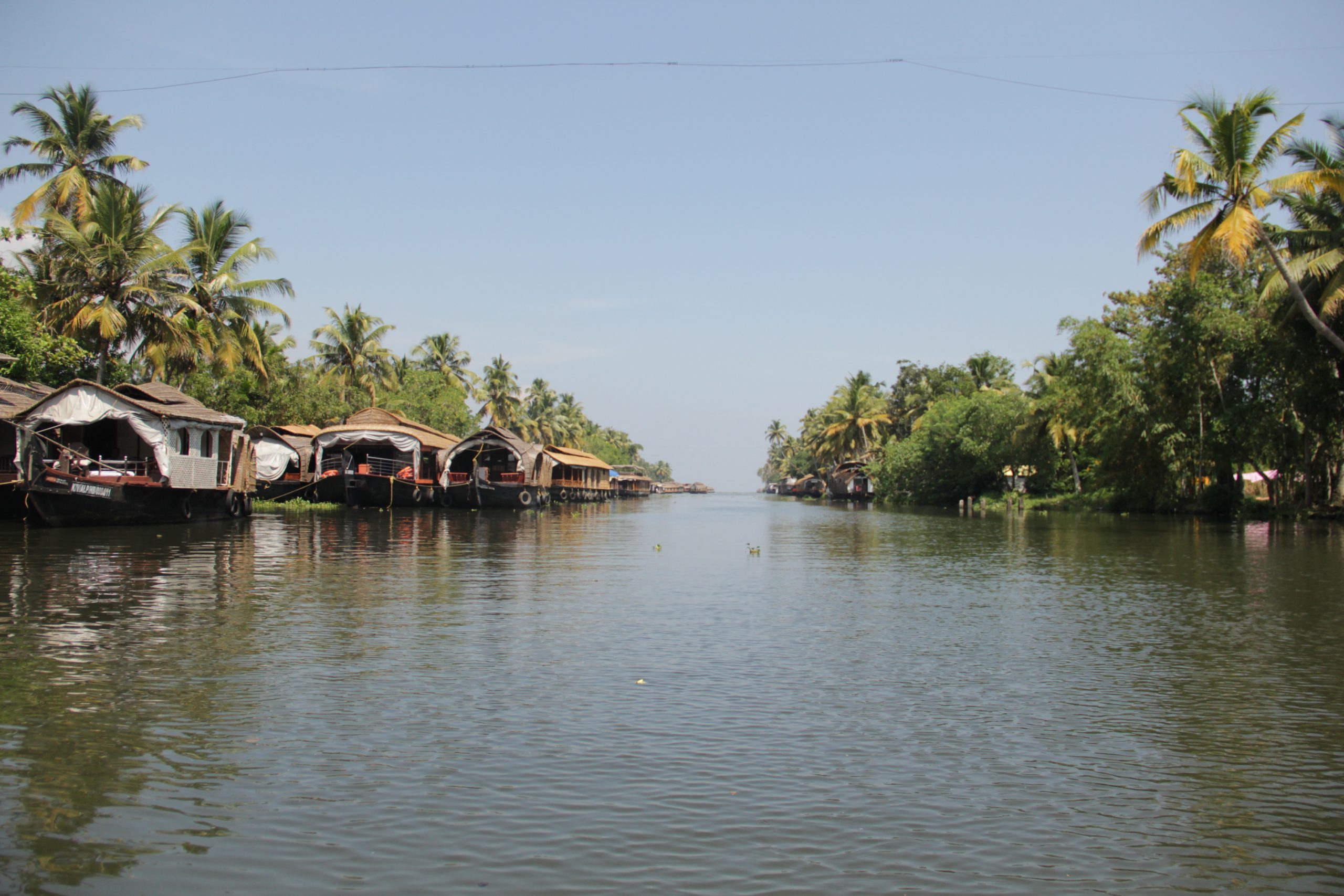 Alleppey Backwater Houseboat Tour with a glimpse into Alleppey Backwater life