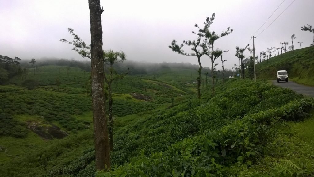 Nelliyampathy Hill Station