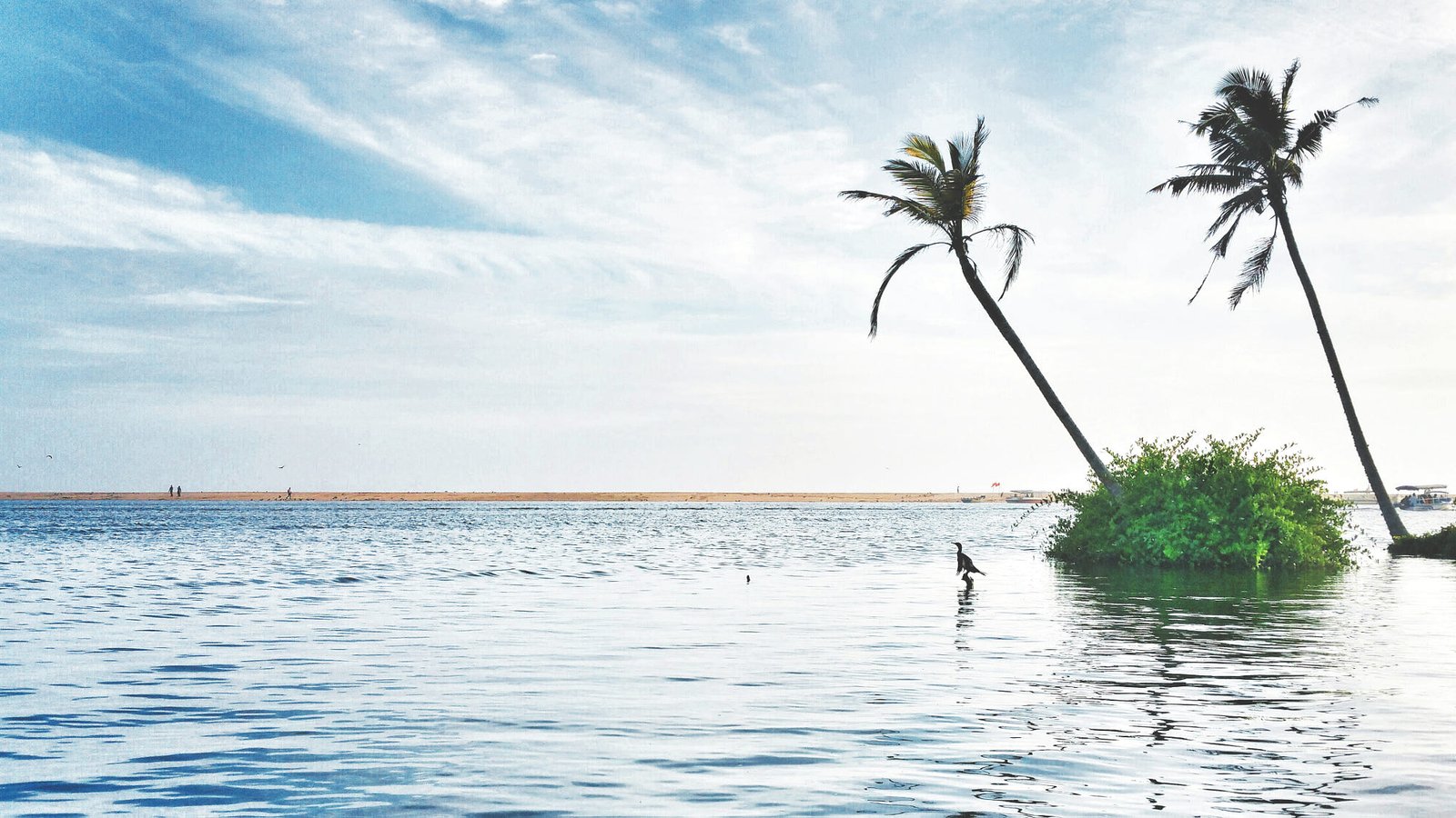 Poovar in Kerala has a rich birdlife