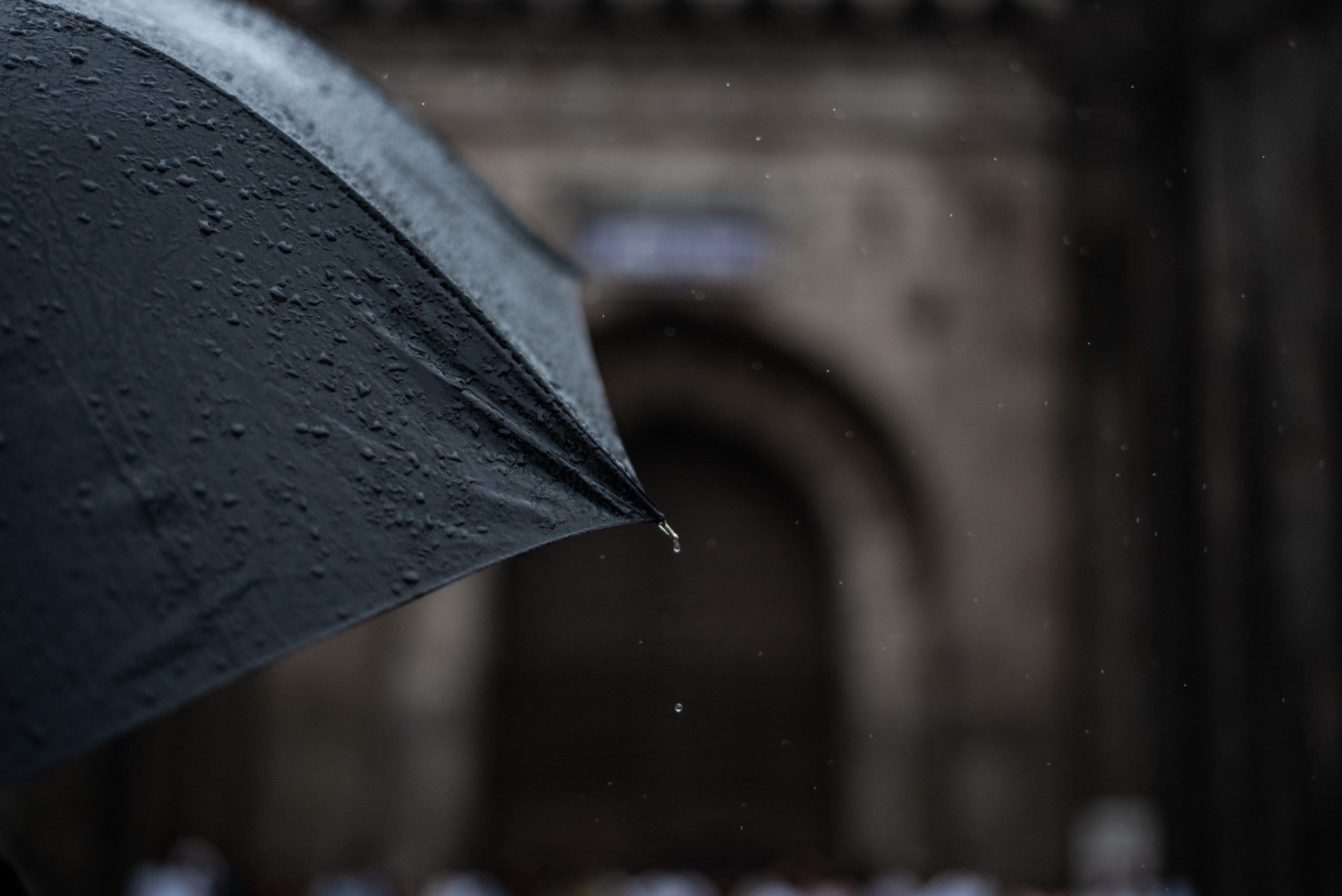 Umbrellas are a must for Kerala
