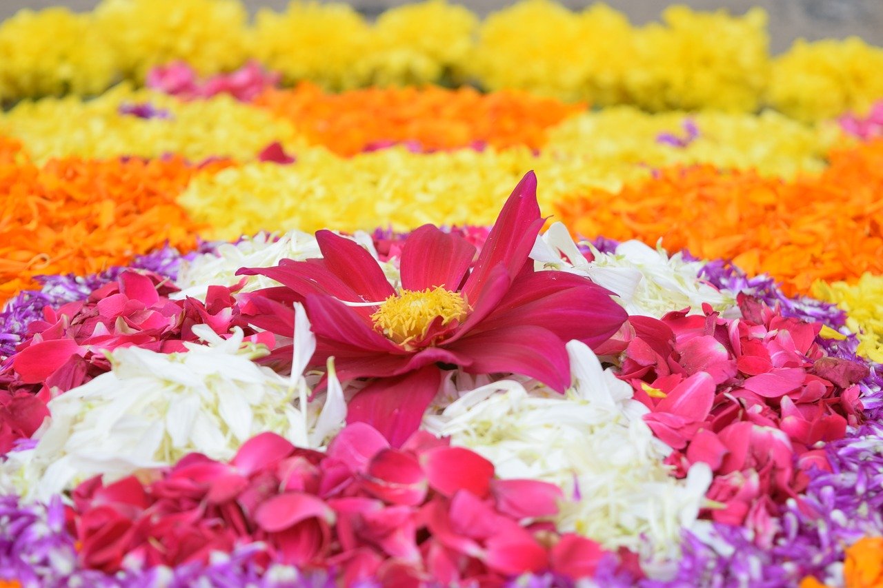 Onam celebrations in Kerala